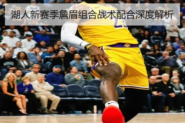湖人新赛季詹眉组合战术配合深度解析